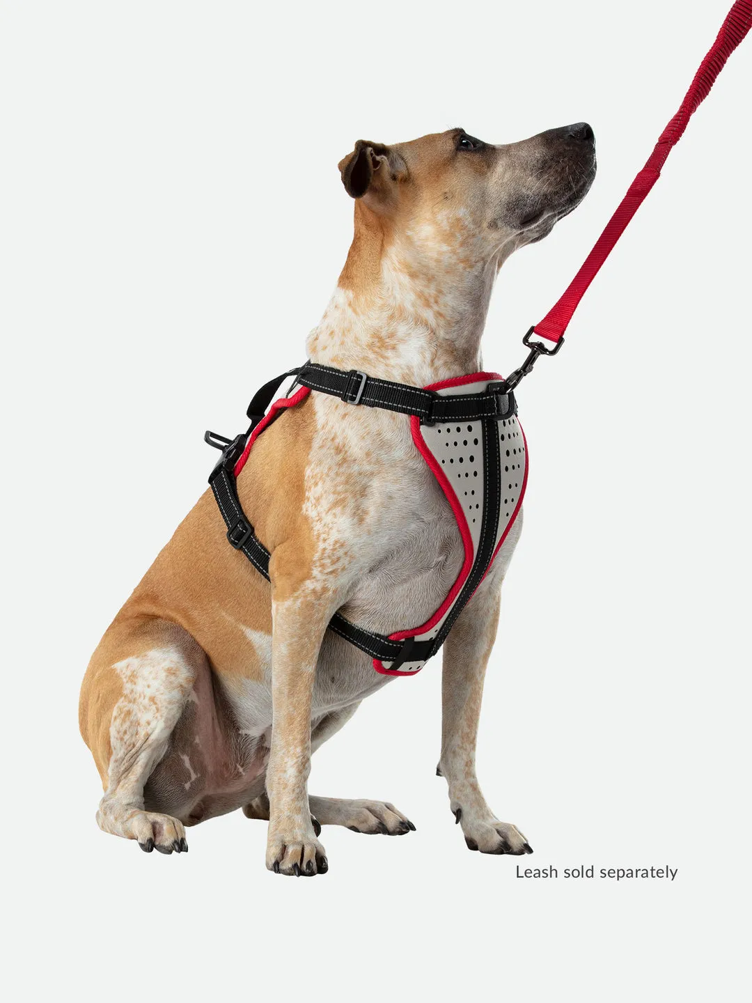 Nathan Dog Harness K-9 Series