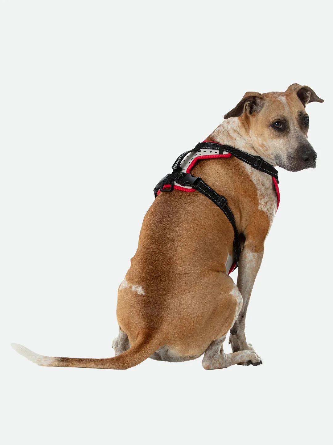 Nathan Dog Harness K-9 Series