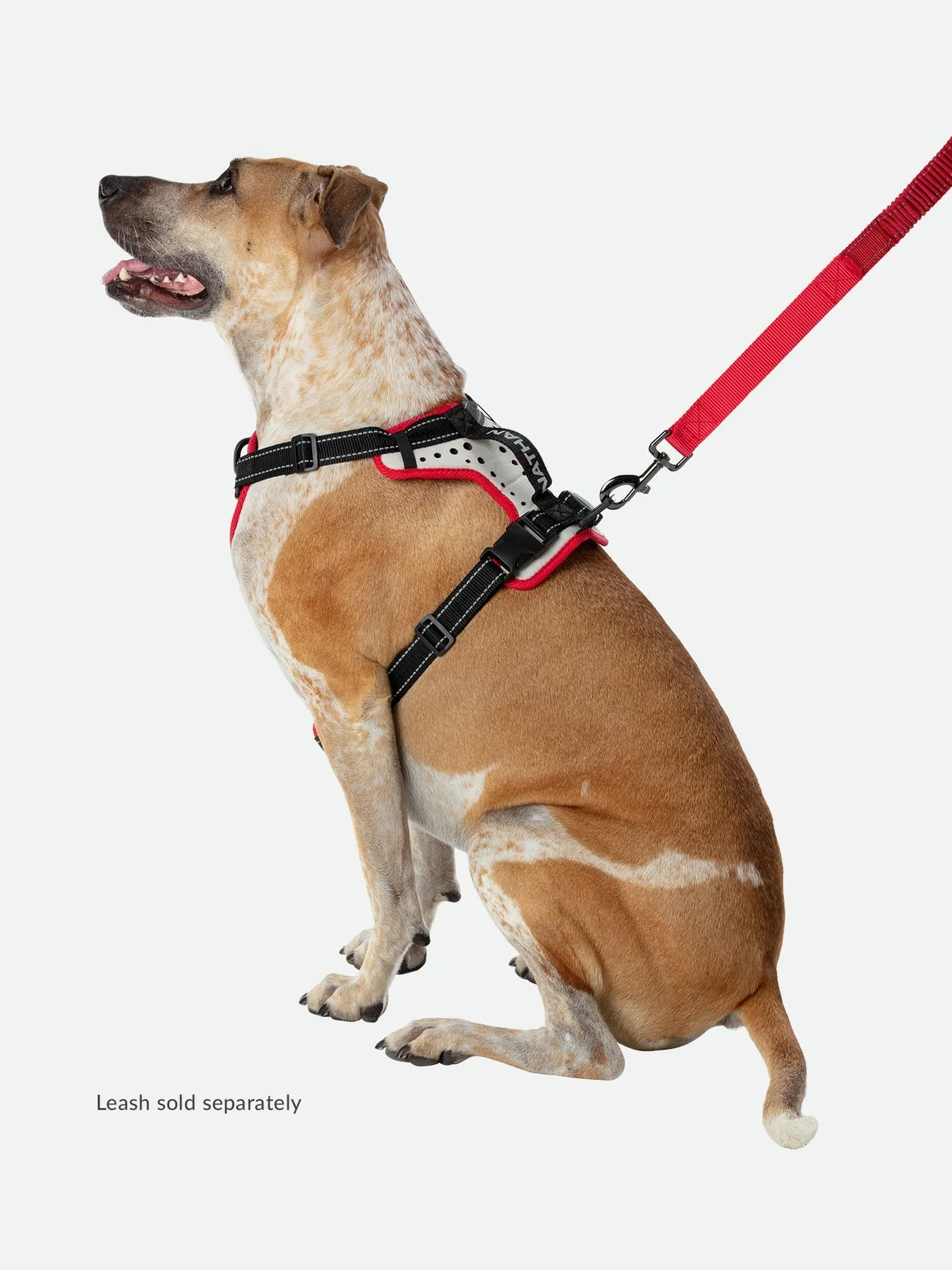 Nathan Dog Harness K-9 Series