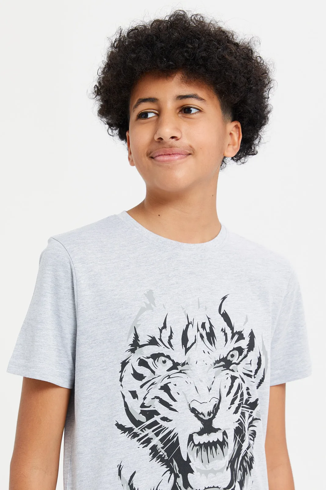 Senior Boys Grey Tiger Roaring Face Graphic T-Shirt